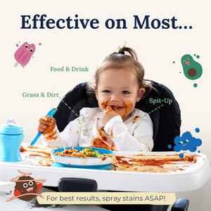 Stain Treater Spray